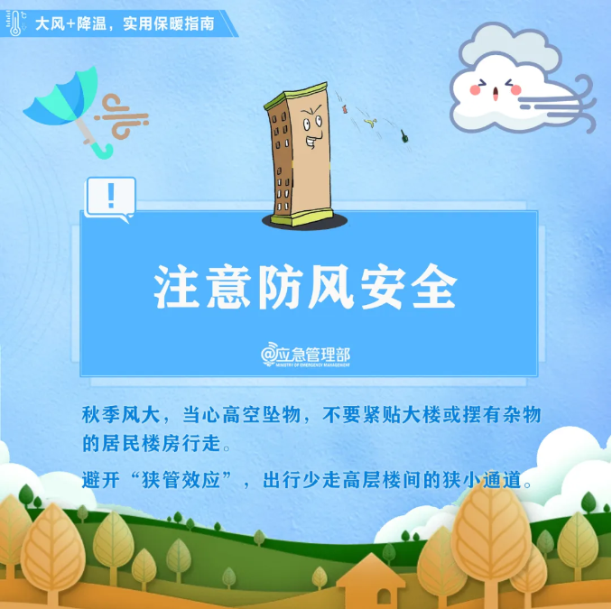 1728526891685108.png